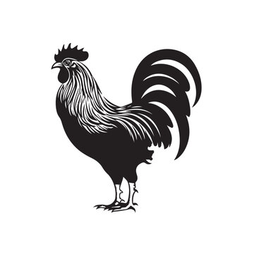 recommend clip art: Rooster in icon, logo style. 2d vector illustration in cartoon, doodle style. Black and white
