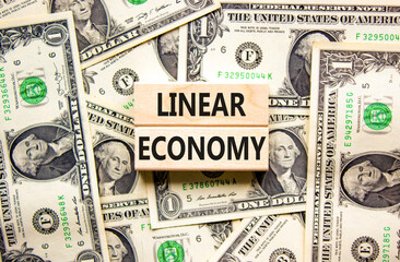Linear economy symbol. Concept words Linear economy on beautiful wooden block. Dollar bills. Beautiful background from dollar bills. Business linear economy concept. Copy space.