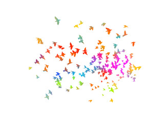 A flock of colored birds. Vector illustration