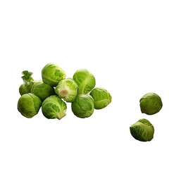 Freshly grown Brussels sprouts on a rustic farm table