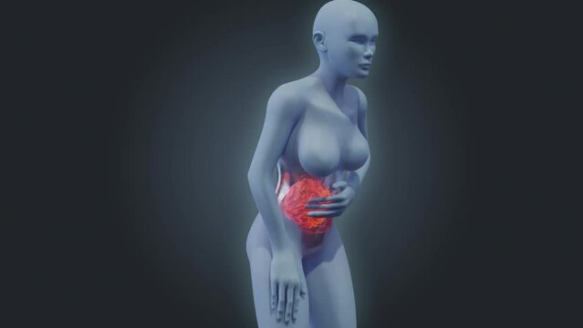 Stomach pain 3D render visualization of semitransparent woman body gestures and pain spot