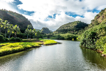 Beautiful river in Waimea bay Valley on oahu island of hawaii