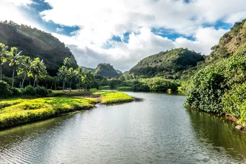 Fototapeten Beautiful river in Waimea bay Valley on oahu island of hawaii © digidreamgrafix