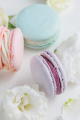 Top view Set Beautiful colorful French macaroons and flowers. Spring Flat lay white background