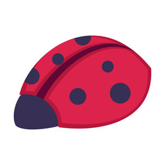 Autumn red ladybug flat illustration. Cartoon drawing of red insect. Autumn or fall, decoration, nature concept