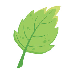 Autumn green leaf vector. Cartoon drawing of floral autumnal element, green leaf. Autumn decoration, nature concept.