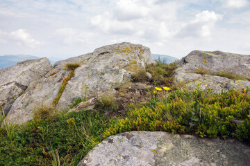 mountainous countryside in summer. boulders and rock formations among the grassy hills. sunny forenoon