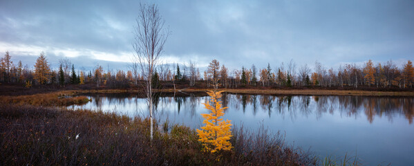 Autumn landscape panorama with forest tundra and lake © Aleksandr Matveev