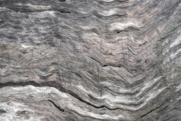 Natural wood grain texture background.