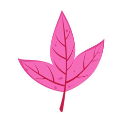 Autumn pink leaf vector. Cartoon drawing of floral autumnal element, pink leaf. Autumn decoration, nature concept.