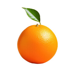 Orange on transparent background