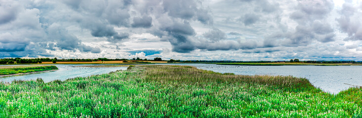 Water Bird sanctuary. Sehlendorfer Binnensee, Water penetrating the Baltic Sea inundates parts of...