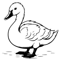 Swan silhouette. Vector illustration