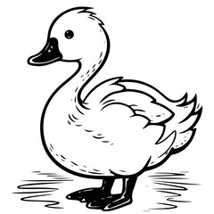 Swan silhouette. Vector illustration