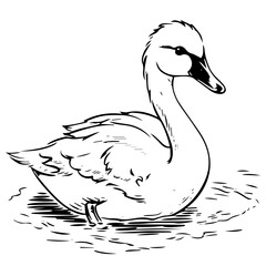 Swan silhouette. Vector illustration