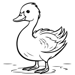 Swan silhouette. Vector illustration