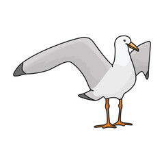 Obraz premium Bird gull vector icon.Color vector icon isolated on white background bird gull.