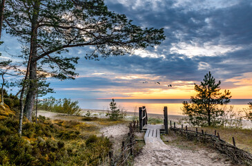 Coastal landscape in Jurmala – famous Latvian tourist resort on the Baltic Sea. Beautiful sand beaches cover more than 26 km of coastline of the Riga gulf - 634442734