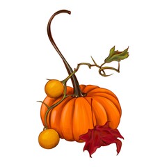 pumpkin with leaf and berry simple colourful sketch. isolated illustration for menu, logo or print 
