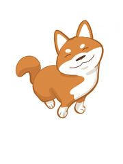 Shiba Inu happy dog
