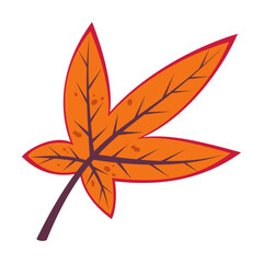 Autumn orange leaf flat illustration. Cartoon drawing of floral autumnal element, orange leaf. Autumn decoration, nature concept.