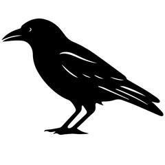 Fototapeta premium raven silhouette Flat Icon vector illustration Clipart