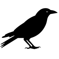 raven silhouette Flat Icon vector illustration Clipart
