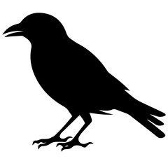 raven silhouette Flat Icon vector illustration Clipart