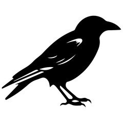 raven silhouette Flat Icon vector illustration Clipart