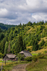 autumn colors of foliage on trees in the Carpathian mountains