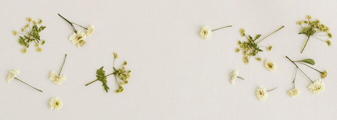 Pressed dried flowers set pattern on white background top view banner. Copy space.