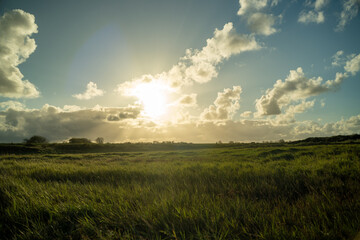 Der Sonnenuntergang über dem mit Gras bewachsenen Ufergebiet an der Nordsee in Holland, 