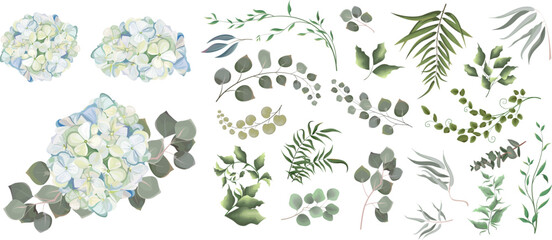 Mix of herbs and plants vector big collection. Green plants and leaves. All elements are isolated. A branch of White-blue hydrangea. . Vector illustration