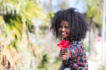 Young, beautiful black woman with afro hair holds a red flower in her hands. The beautiful woman is...