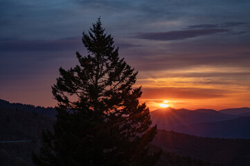 Lone Pine And Sun Burst In Blue Ridge Mountains