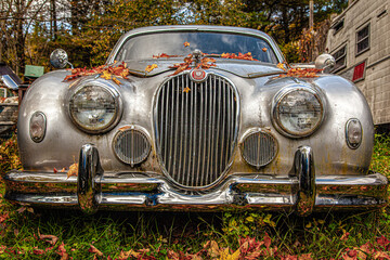 Old Jaguar mark 2 sitting on junk yard covered with leafs