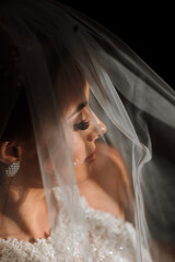 Happy and beautiful bride under a veil close-up. bride with professional makeup and hairstyle on a dark background.