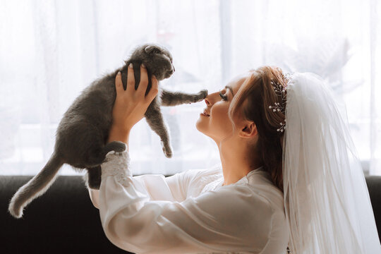 a young, elegant girl in the image of a bride with a beautiful veil on her head, holding her domestic cat in her arms Scottish Fold