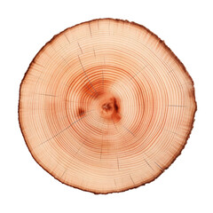 Tree rings in cross section on transparent background from above