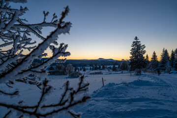 Winter evening at Filipova Hut, view on the Roklany mountains and snowy branches in the foreground