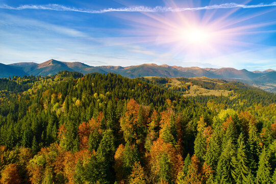 Aerial view of forest in foliage season. Natural green, orange and yellow background.