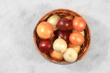 Various varieties of onions in a basket on a gray concrete background, autumn harvest concept, red, white and golden onions for breeding in agriculture, selective focus