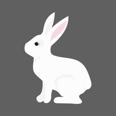 illustration of a white rabbit, isolated on a gray background