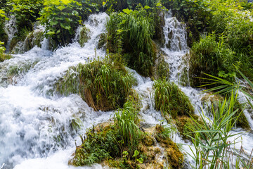 Summer landscape, waterfall flows through thick green grass