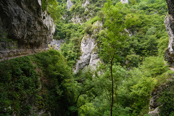 Views of the Xanas Gorge in Asturias