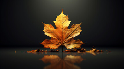 Creative concept made with one autumn leaf, autumn leaves on the water