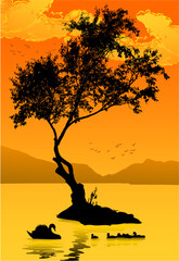 arbol, agua, pato, cisne, ganzo, atardecer, amanecer, calma, belleza, pajaros, parvada, vectores, vector, belleza