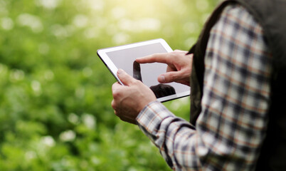 Cropped shot of farmer's hands hold and use digital tablet to analyse and check the growth and disease of the plants in the blooming potato field. Smart farming technology and agriculture concept.
