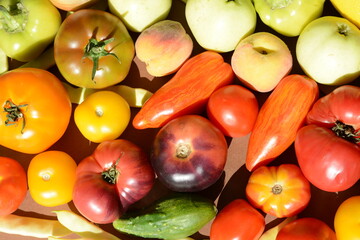 Yellow and red tomatoes, cucumbers, sweet peppers and green beans, apples and peaches. View from above