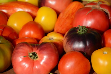 Ripe tomatoes of different varieties close-up